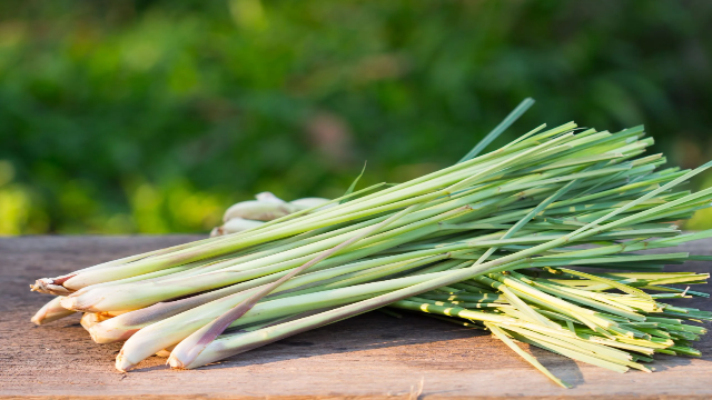 6 Manfaat Serai untuk Kesehatan